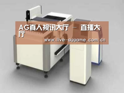 产品名称十五