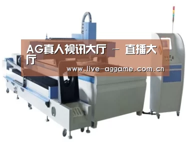 产品名称十三