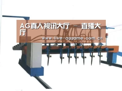 产品名称五