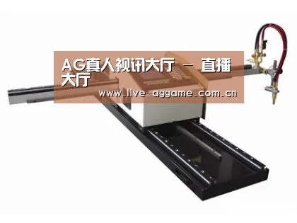 案例展示一