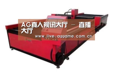 产品名称十