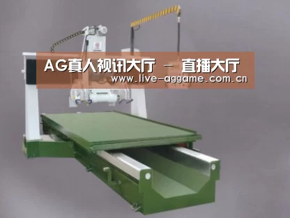 产品名称十
