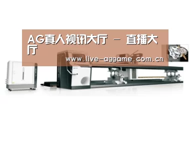 案例展示五