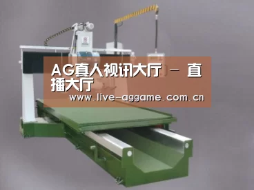 产品名称十