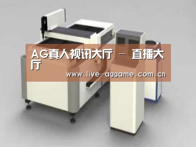 产品名称十三