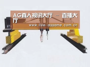 产品名称十七