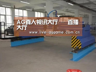 产品名称十九