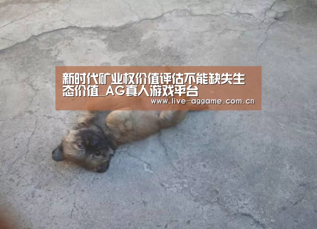 ag娱乐