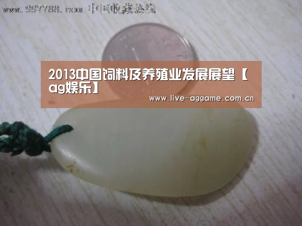 2013中国饲料及养殖业发展展望【ag娱乐】(图2) ag真人百家乐