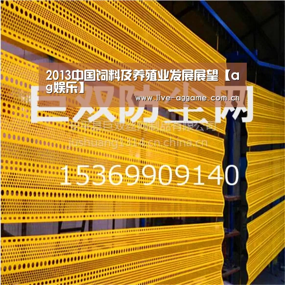 2013中国饲料及养殖业发展展望【ag娱乐】