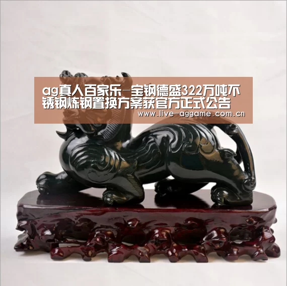 ag真人百家乐-宝钢德盛322万吨不锈钢炼钢置换方案获官方正式公告(图2) ag娱乐