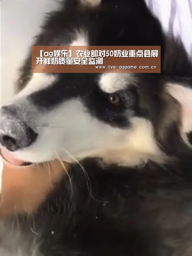 【ag娱乐】农业部对50奶业重点县展开鲜奶质量安全监测