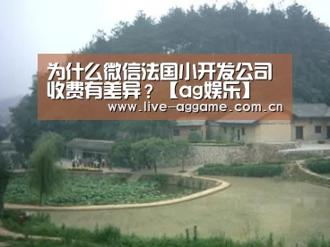 为什么微信法国小开发公司收费有差异？【ag娱乐】